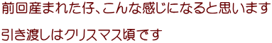 OY܂ꂽeAȊɂȂƎv܂  n̓NX}Xł